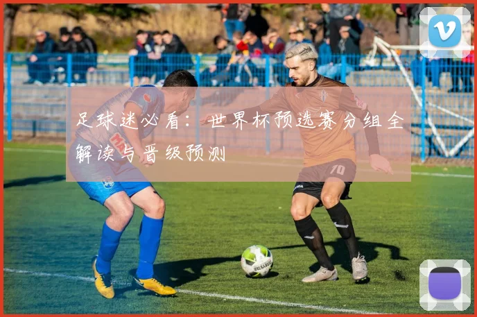 足球迷必看：世界杯预选赛分组全解读与晋级预测