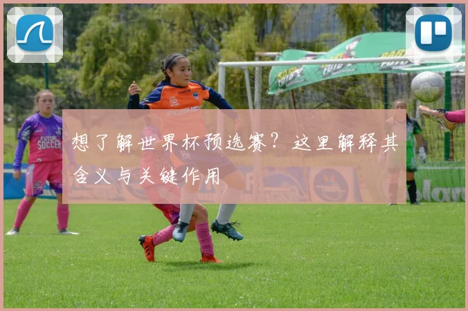 想了解世界杯预选赛？这里解释其含义与关键作用