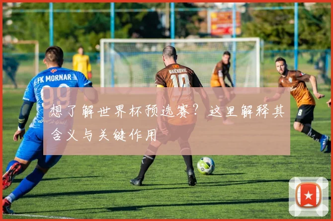 想了解世界杯预选赛？这里解释其含义与关键作用