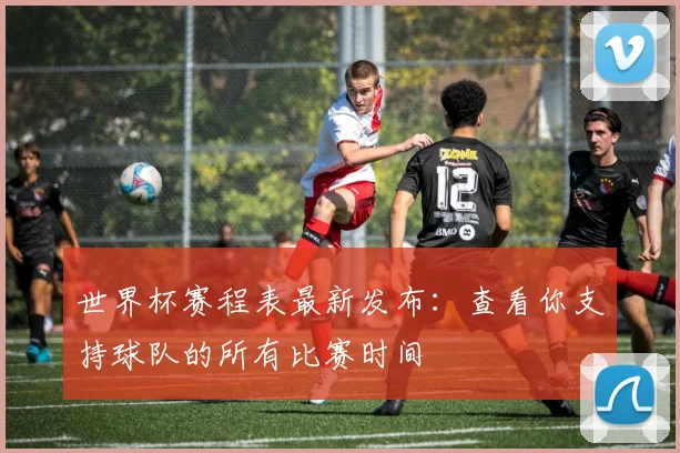 世界杯赛程表最新发布：查看你支持球队的所有比赛时间